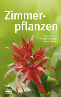 Produktbild von Zimmerpflanzen
