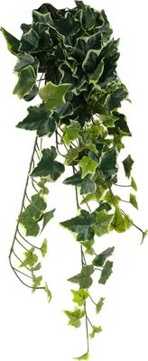 Image de Mica Decorations Lierre suspendu plante artificielle - H71 cm - Vert, multicolore