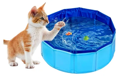 Produktbild von Katzenplanschbecken, 30 x 11 cm, faltbarer Haustierpool aus PVC, rutschfest und verschleißfest