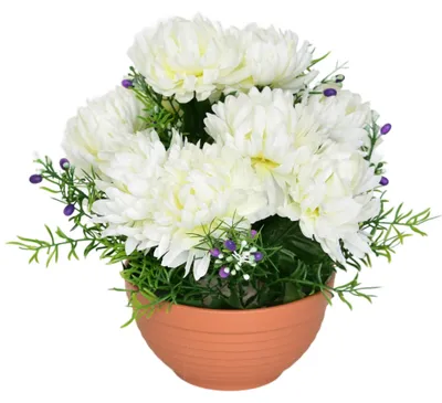 Productafbeelding van Herfstboeket met witte chrysanten, 10 bloemen, 25 x 26 cm