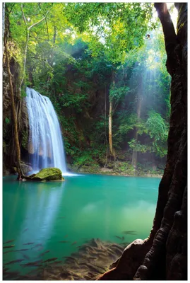 Produktbild von Wallario Wandbild aus Acryl, 90 x 60 cm, freischwebende Optik - Wasserfall im Wald am See  Idylle in Thailand
