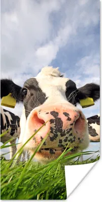 Produktbild von MuchoWow® Poster Kuh - Bauernhof - Gras - Tiere 20x40 cm - Plakat - Foto
