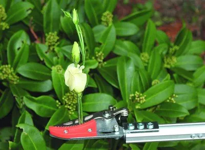 Obrázek produktu pro Lopata na růže a trnité rostliny – ergonomické a lehké zahradní nářadí