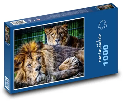 Produktbild von Puzzle 1000 Löwenpaar in der Wildnis - martinpuzzle