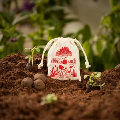 Produktbild von Samenbomben "Blühendes Kornfeld" im Jutebeutel – 8 Seedbombs mit 21 Wildblumen-Sorten – bunt, schnellwachsend & bienenfreundlich – Geschenkidee für Garten, Balkon & Naturfreunde