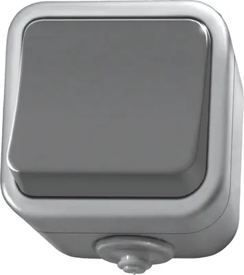 Zdjęcie produktu dla Ospel ŁNH-1D/30, Szary, IP44, 250 V, 16 A, 72 mm, 53 mm