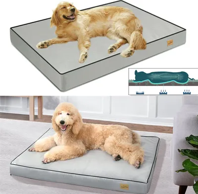 Image de WISFOR Lit orthopédique pour chien Tapis pour animaux Lit pour chien Canapé pour chat Ménageant les articulations Lavable résistant à l'eau