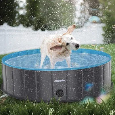 Immagine prodotto di Piscina piccola e portatile per cani e bambini, 120 x 30 cm