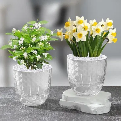 Produktbild von Famanu Selbstbewässerungstopf Set von 2 - Ideal für Kräuter und Pflanzen