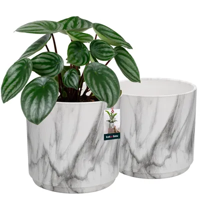 Zdjęcie produktu dla KOTARBAU® Zestaw 2 doniczek ceramicznych okrągłych ⌀ 12 cm marmurowa matowa doniczka ceramiczna do roślin domowych doniczka nowoczesna o marmurowym wyglądzie małe doniczki doniczka ceramiczna doniczka ceramiczna doniczka ceramiczna do orchidei