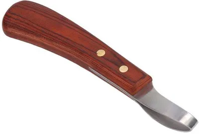 Immagine prodotto di Raspa per cavalli, acciaio inossidabile, manico in legno, multifunzione