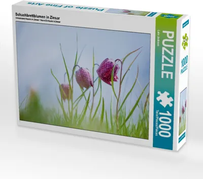 Produktbild von Calvendo Schachbrettblumen in Ziesar 1000 Teile Puzzle quer 640x480mm, Jackson Lain; 7390915