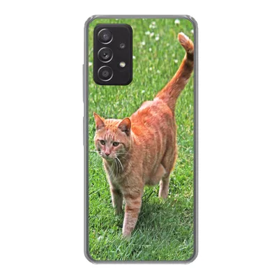 Produktbild von MuchoWow® Handyhülle Schutzhülle Hülle für Samsung Galaxy A33 5G Katze - Rot - Katze - Mädchen - Kinder - Jungen - Kind Silikon Softcase Handy Hülle - Kartenhalter