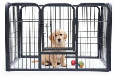 Immagine prodotto di Solidchoice - Gabbia pieghevole per cuccioli, grigia, 91 x 63 x 61 cm