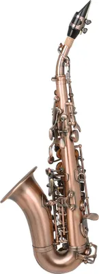 Obrázek produktu pro Naroote Zakřivený sopránový saxofon, tuba nástroj, B flat s pouzdrem a stojanem Sopránový saxofon, pro hudební začátečníky, interprety