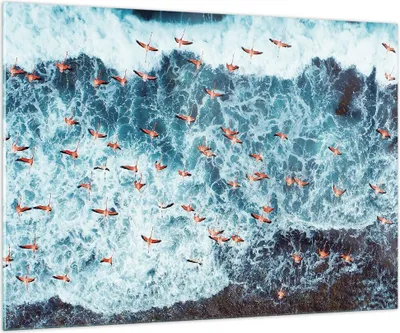 Produktbild von Bilder auf glas - Einteilig - Flamingos Karibik Vögel - 100x70cm - Glasbilder - Wandbilder - Bilder - zum Aufhängen bereit - Wanddekoration aus Glas - Glas Bilder - Wandbild auf Glas - GAA100x70-5013