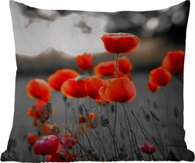 Produktbild von MuchoWow® Outdoor Kissen - Rote Mohnblumen vor schwarzem und weißem Hintergrund - 45x45 cm - Wetterfest - Lounge Kissen - Fotokissen - Dekoratives Kissen
