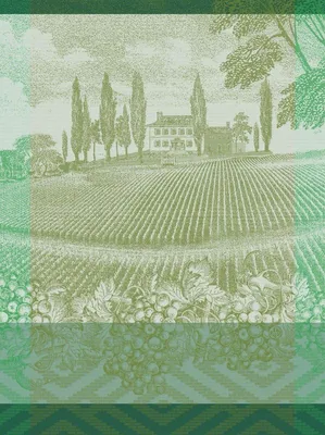Zdjęcie produktu dla Ręcznik kuchenny Vignoble, 100% bawełna, zielony, 50x70 cm, do kuchni