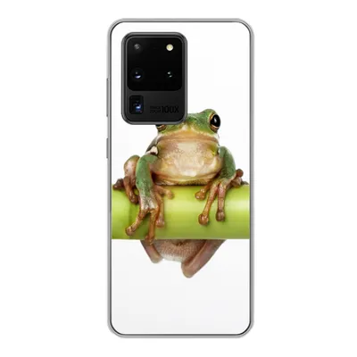 Produktbild von MuchoWow® Handyhülle Schutzhülle Hülle für Samsung Galaxy S20 Ultra Frosch - Bambus - Weiß Silikon Softcase Handy Hülle - Karteninhaber