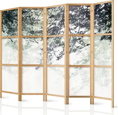 Immagine prodotto di Schermo XXL 225x172 cm 5 pezzi monofacciale elegante schermo per la privacy parete divisoria per ambienti legno design motivo deco casa ufficio botanica natura astratta b-C-10353-bh-b