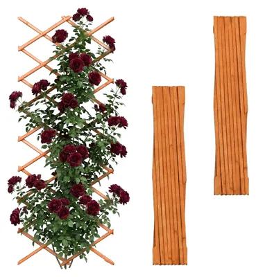 Immagine prodotto di Grate estensibili Relaxdays, set da 3, 310x90 cm, legno, montaggio a parete, supporto per piante rampicanti, grate in legno, arancione