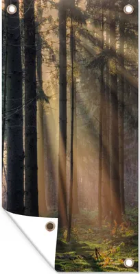 Produktbild von MuchoWow® 80x160 cm Outdoor-Poster Gartendeko Sichtschutz Garten Poster für den Garten  Bäume - Wald - Sonne - Pflanzen