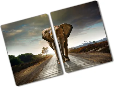Produktbild von Tulup Glas Herdabdeckplatte - 2x40x52 cm - Glaskeramikkochfeld-Abdeckung Spritzschutz Glasabdeckplatte Kochplattenabdeckung und Schneidebrett - Zweiteilig - Tiere - Elefant - Braun