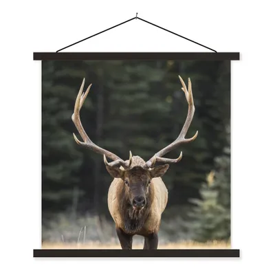 Produktbild von MuchoWow® Textilposter Hirsch - Baum - Geweih 120x120 cm mit schwarzem Rahmen - Aufhängungsset