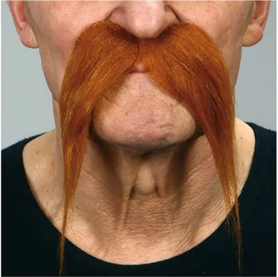Obrázek produktu pro Mom Moustache Brown Brown One Size