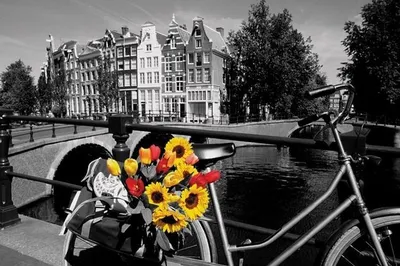 Imagen del producto de Tulipanes de Ámsterdam - 61x91,5 cm - Póster