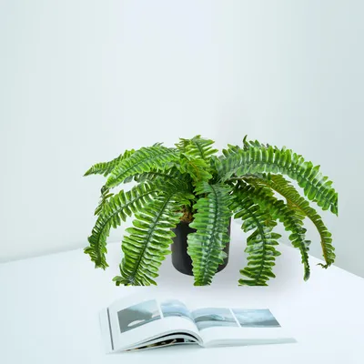 Produktbild von Künstlicher Farn Kunstpflanze Künstliche Pflanze 45 cm Kunstblume Innendekoration Kunst Pflanze wie echt im Topf Decovego