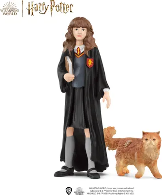Immagine prodotto di Hermione Granger e il mondo dei maghi