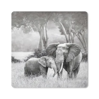 Produktbild von MuchoWow® Mauspad Mousepad Elefant - Tiere - Natur - Schwarz und weiß 20x20 cm - Mousepads - Maus Mat - Pad - Mausunterlage - Desk Mat - Bureauartikeln