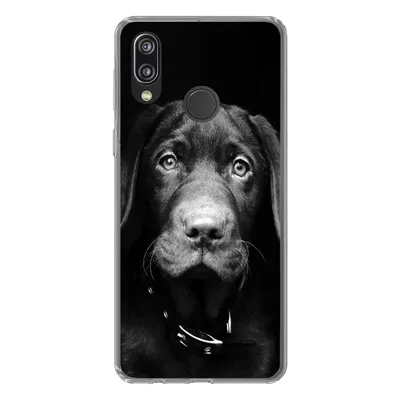 Produktbild von MuchoWow® Handyhülle Schutzhülle Hülle für Huawei P20 Lite (2020) Nahaufnahme Labrador Welpe vor schwarzem Hintergrund in schwarz und weiß Silikon Softcase Handy Hülle - Kartenhalter