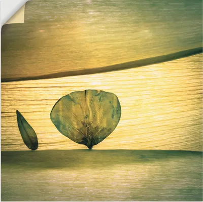Produktbild von ARTland Wandbild, selbstklebend Frühling? Größe: 70x70 cm