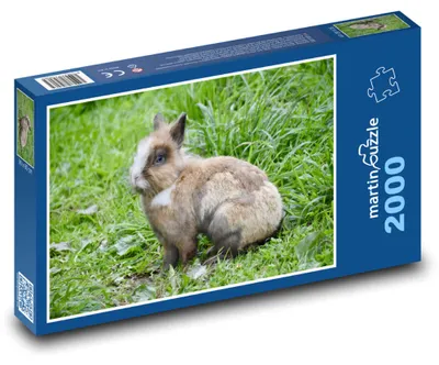 Obrázok produktu pre martinpuzzle - Puzzle 2000 - Zajíac