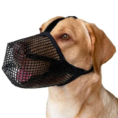 Produktbild von Hundemaulkorb für kleine, mittelgroße Hunde, Maulkorb aus Netzgewebe, weicher Mundschutz mit verstellbarem Riemen