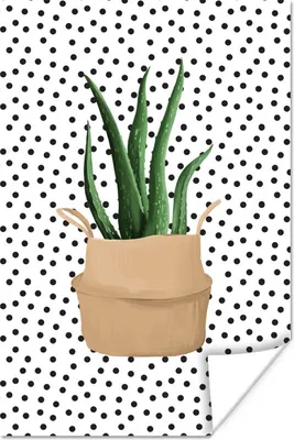 Produktbild von MuchoWow® Poster Pflanze - Aloe Vera - Flecken 60x90 cm - Wanddekoration
