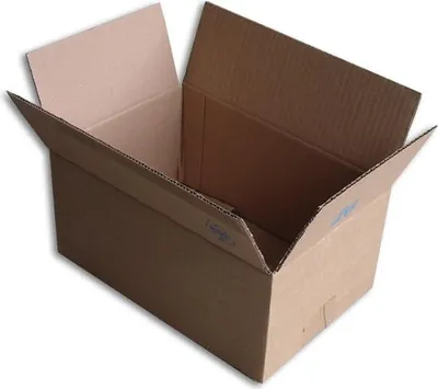 Image de Lot de 100 boîtes carton (n°26) format 260x170x120 mm