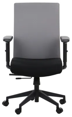 Productafbeelding van Ergonomische draaibare bureaustoel RIVERTON F/L, verstelbare armleuningen, verschuifbare zitting (voor-achter), zwart/grijs