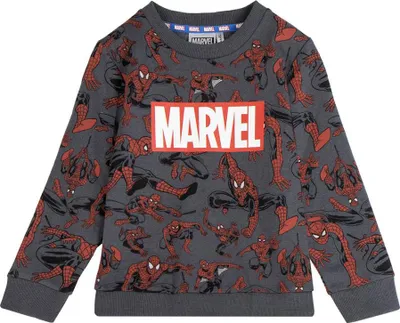 Produktbild von Cerda Group Spiderman Sweatshirt Grau 3 Years Jungen,Mädchen Grau 3 Years