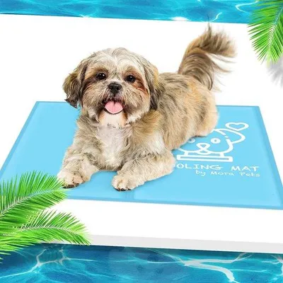 Produktbild von Famanu Kühlmatte für Hunde und Katzen - selbstkühlend, blau, 100 x 60 cm