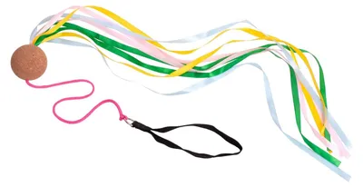 Image de BS Toys Poi Pendulum