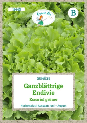 Produktbild von Grüne Fee - Ganzblättrige Endivie Escariol grüner Samen - 11440