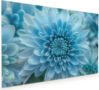 Produktbild von Küchenrückwand Spritzschutz Glas mit Motiv Blaue Blume 40 x 40 cm
