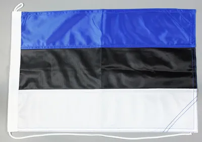 Produktbild von Bootsflagge Estland 30x45 cm Motorradflagge Bootsfahne