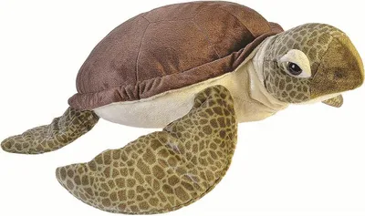 Image de Ck Tortue De Mer Jumbo 74 Cm