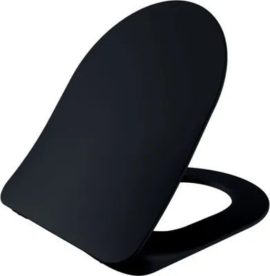 A black toilet seat is shown from a diagonal angle against a white background.