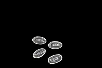Obrázok produktu pre Silikónové nosové vankúšiky na okuliare s klik systémom (oválne 13 mm)
