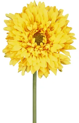 Produktbild von Kunstblume GERBERA 57cm GELB